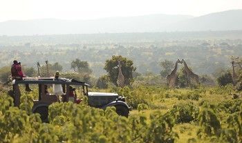 Cottars 1920S Safari Camp Hotell Maasai Mara Exteriör bild
